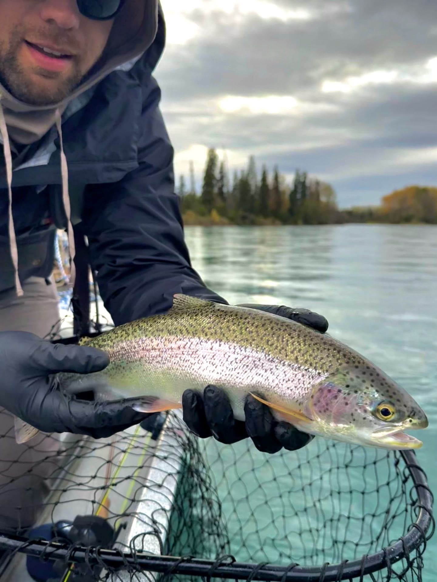 Rainbow trout held over the net on the Kenai River
